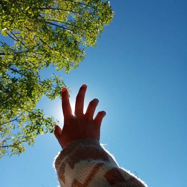 🍃☀️