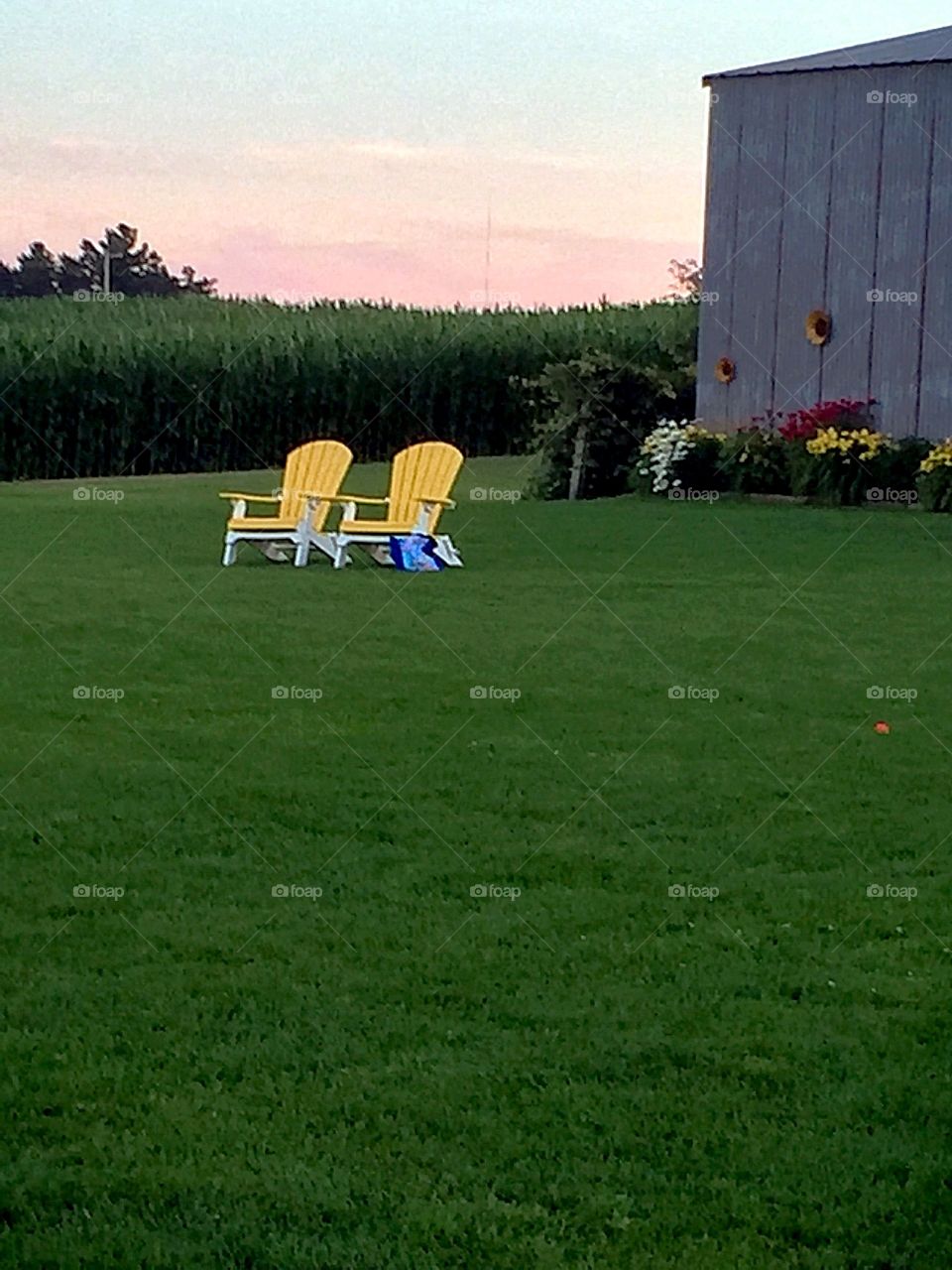 Afternoon chairs