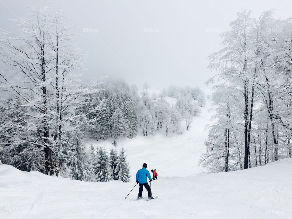 Skiers on the ski slope surrounded by snowy forest 