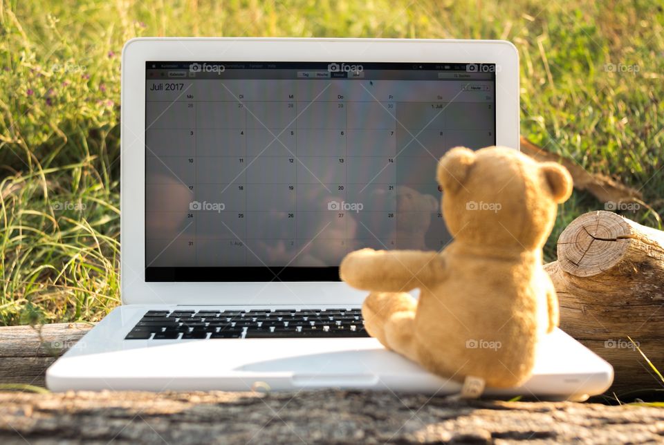Teddy Bear sitting on a notebook 