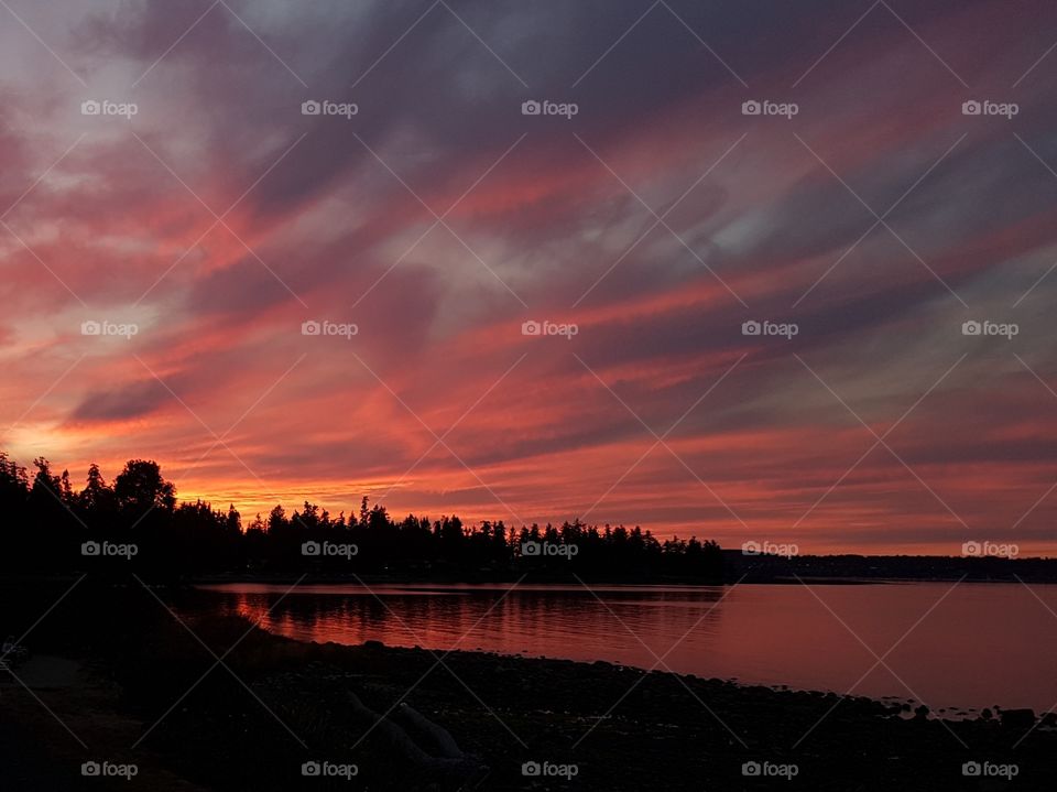 Beautiful sunset colors of pink, red, orange, yellow, gray, black. Sunset beams through glowing clouds over beach shoreline, calm ocean, and black silhouette of trees and land.