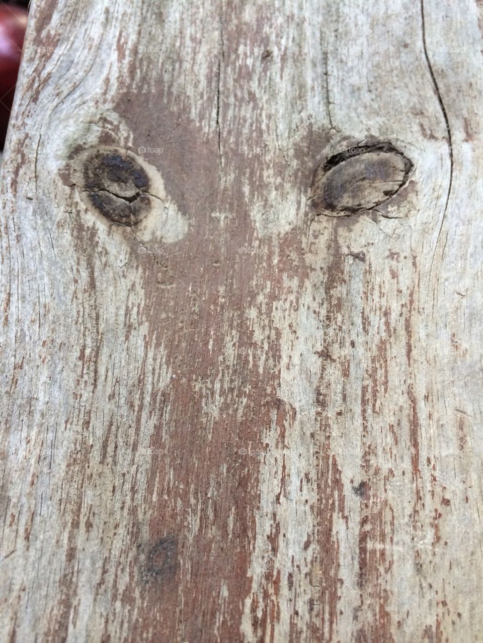 Spirit in wood