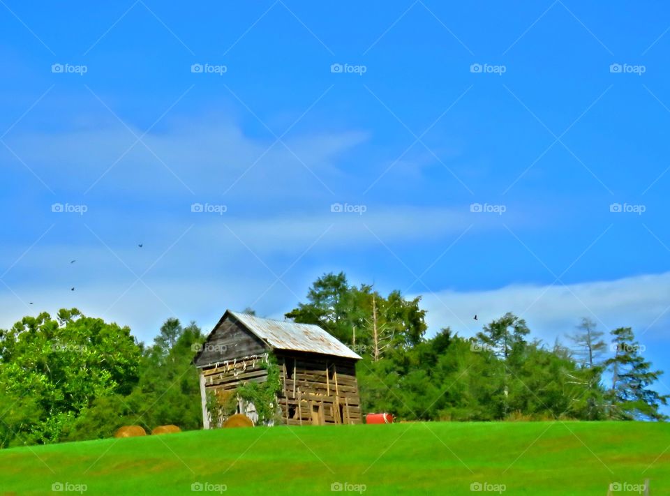 countryside barn