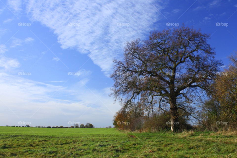 landscape clouds trees fields by loz091262
