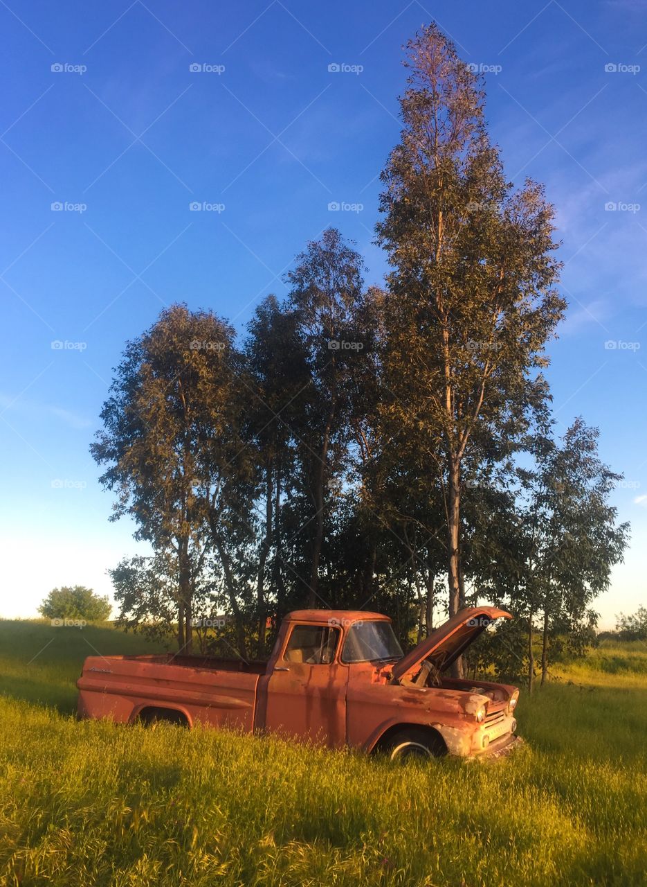 Old rusty truck. 
