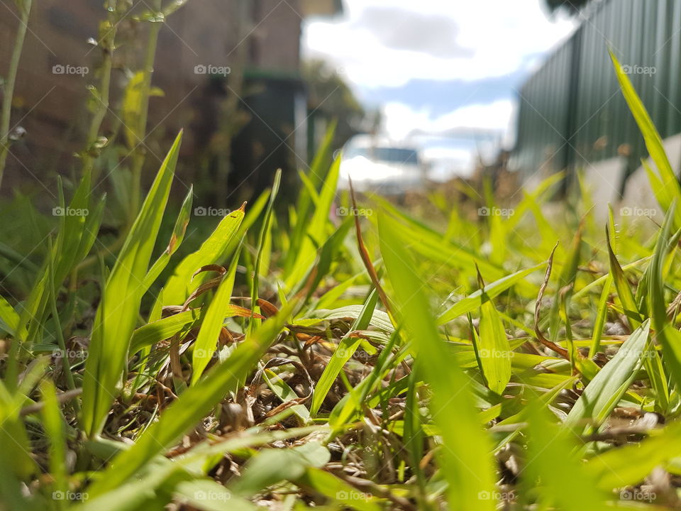 Hunny I Shrunk The Kids 😀