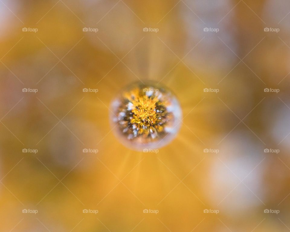 Fall colors through a water drop 