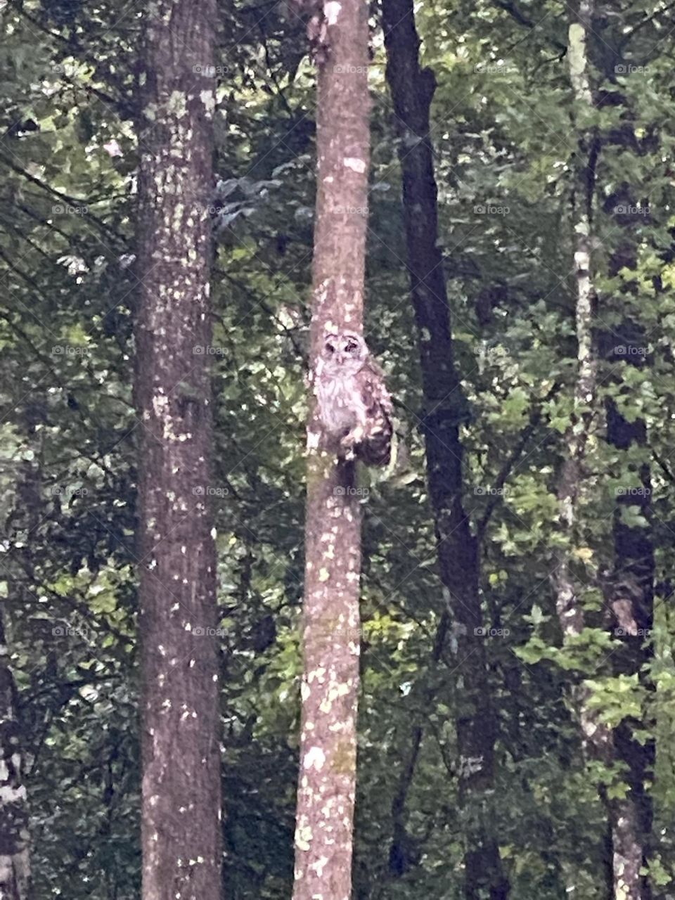 I’m looking at him and he is looking at me 