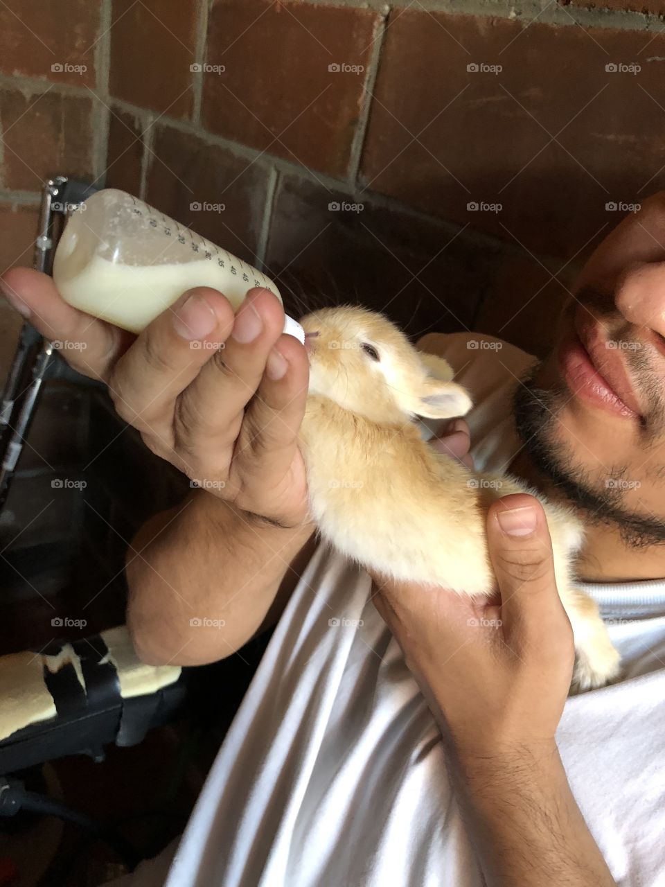 Bottle feeding a baby bunny 