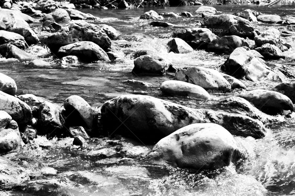 Yangtze River 