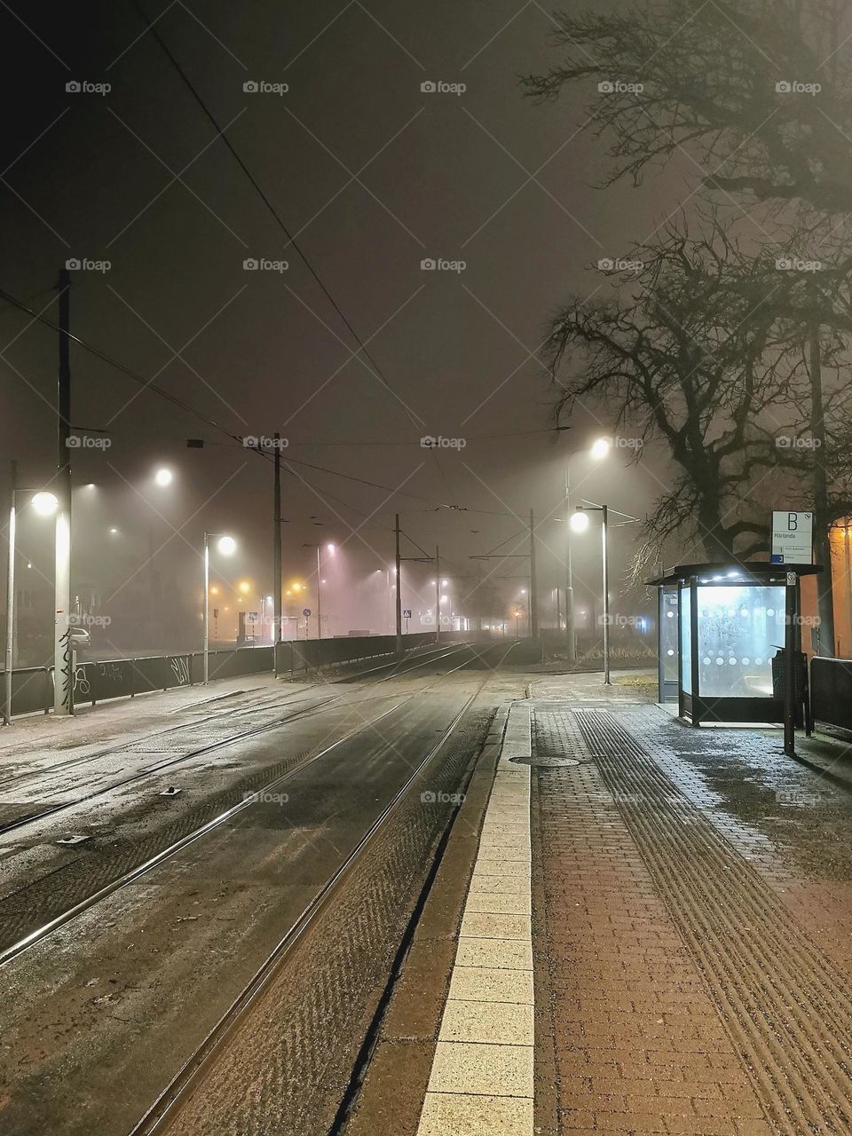 Foggy morning at the tram stop