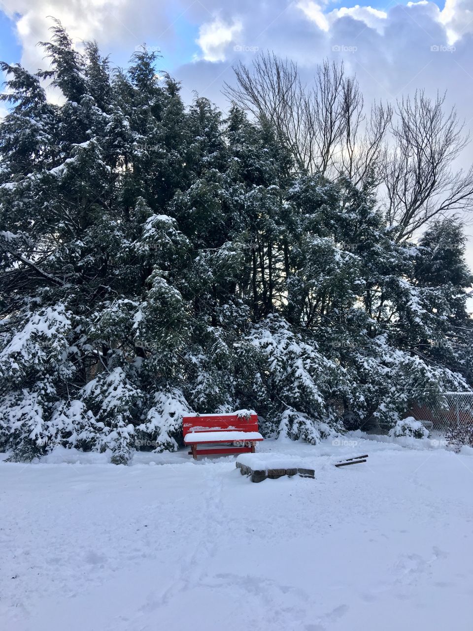 A lone red bench during the magic hour after a New England snow fall. 