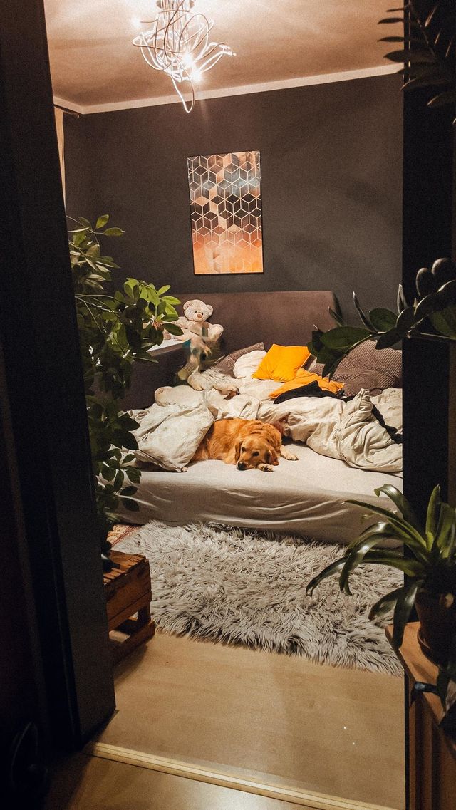 Mattress on the floor 