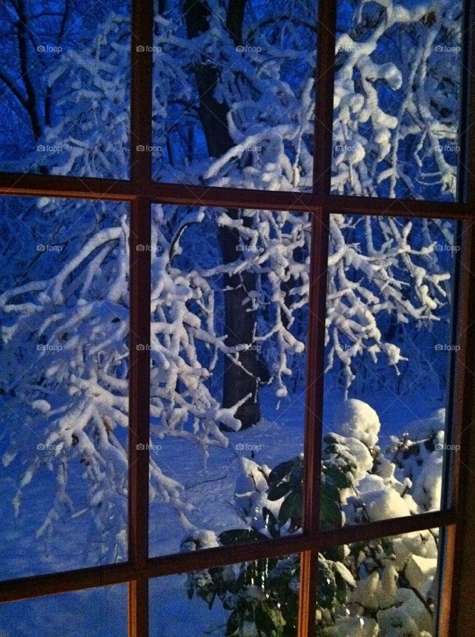 Winter wonder window