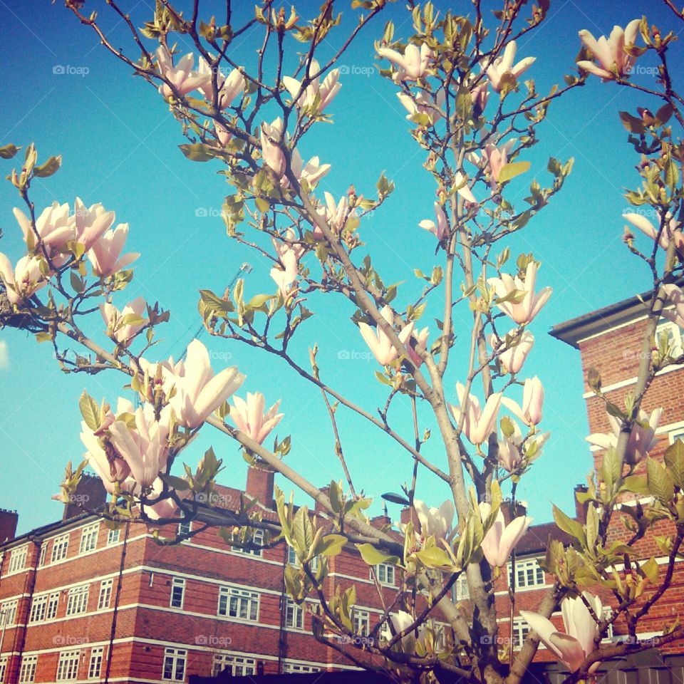 feel the breeze. springtime in London