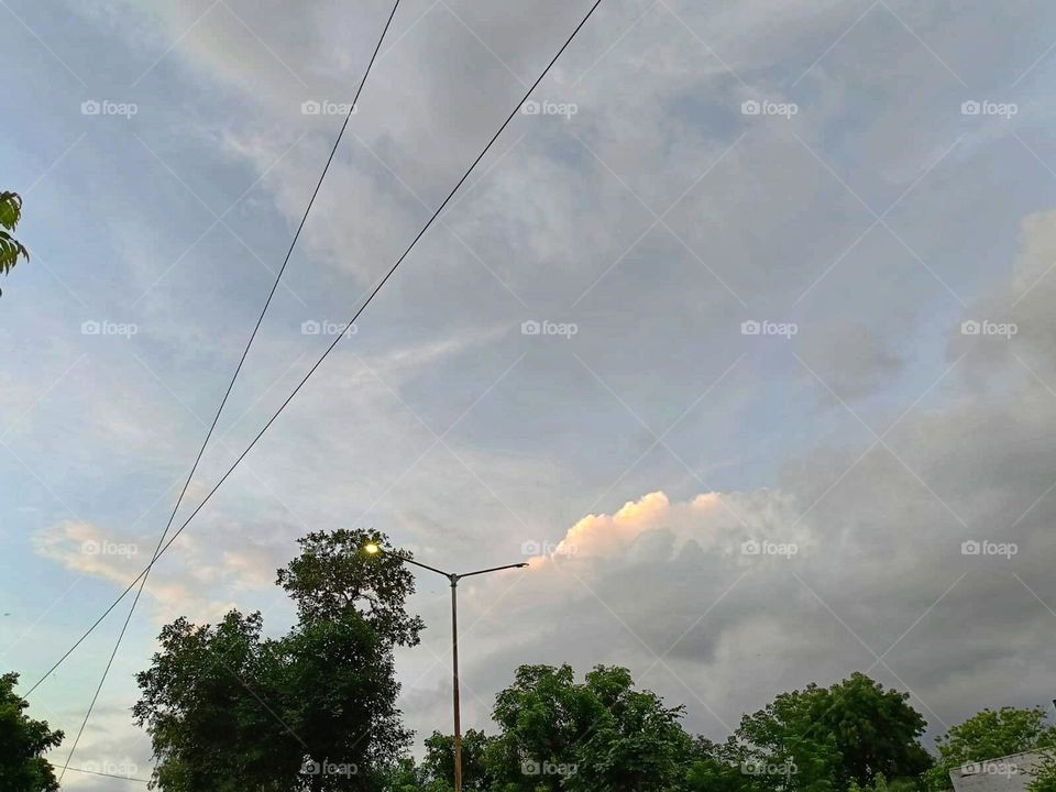 It looks like a lovely spot for a leisurely stroll! The brick path surrounded by lush greenery must create such a calming atmosphere. It's like nature's own little escape route. 🌳✨