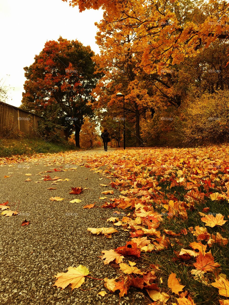 Walking alone in autumn 
