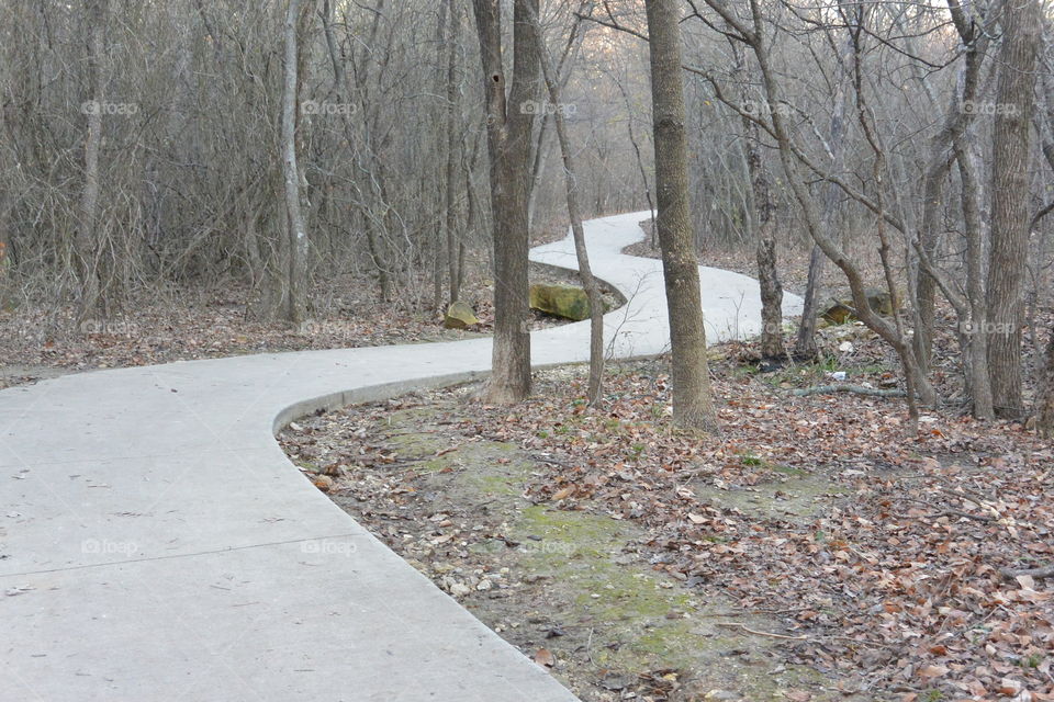 Winding road in forest