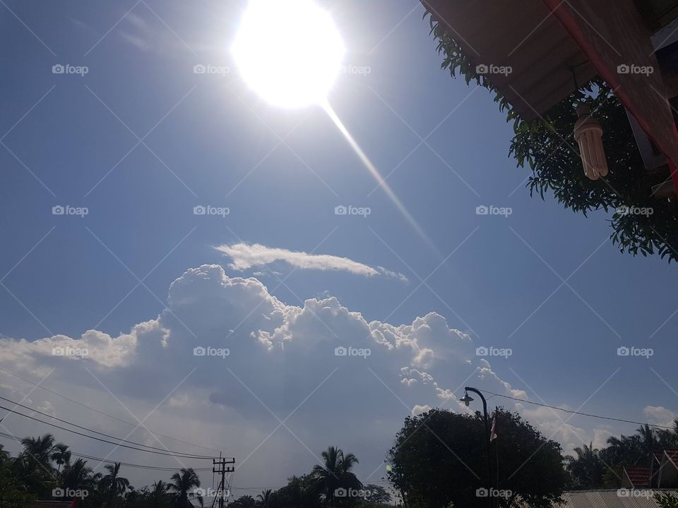 Clouds and trees in daylight