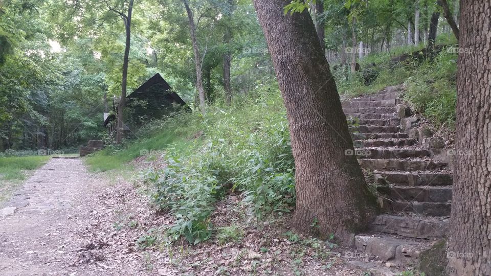 Cottage nestled in the trees.