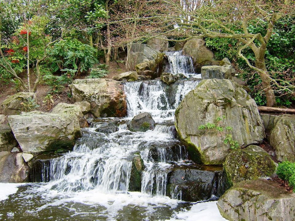 Japanese garden in London 