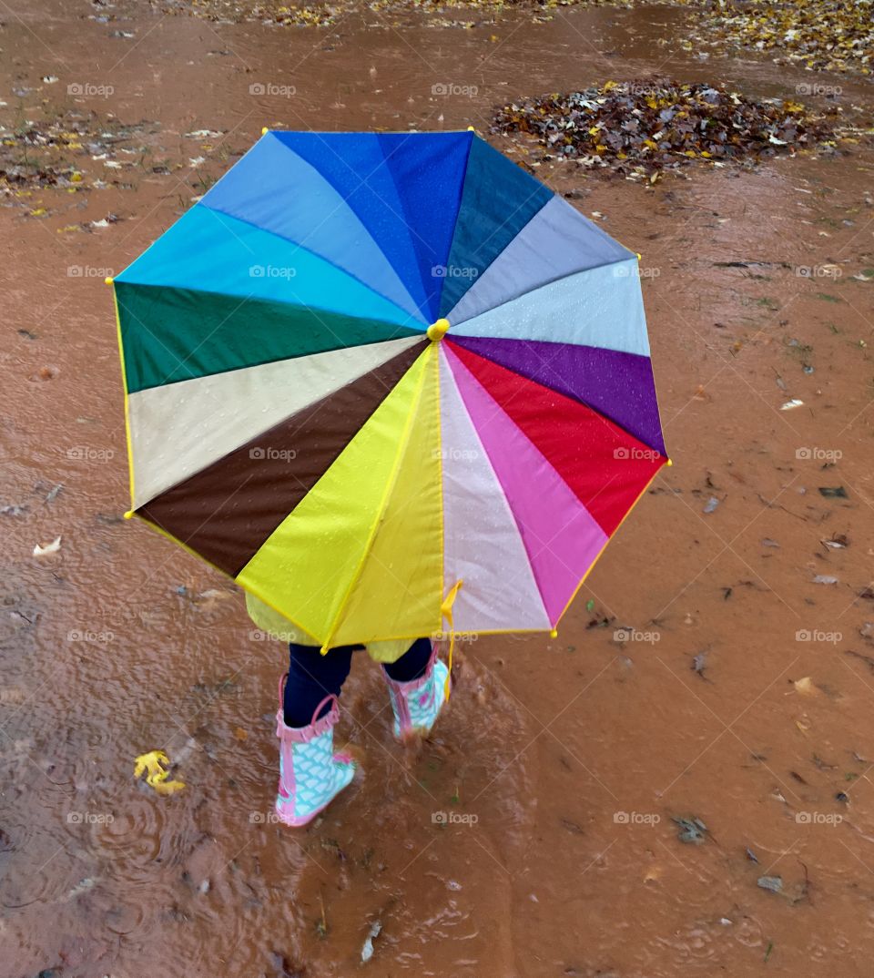 Rainbow umbrella in the rain