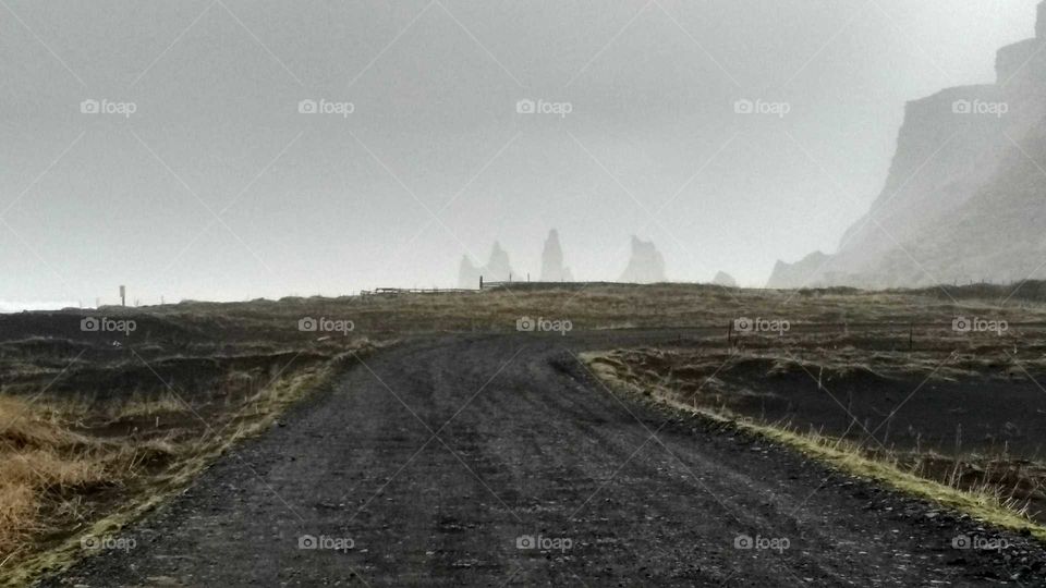 Foggy road