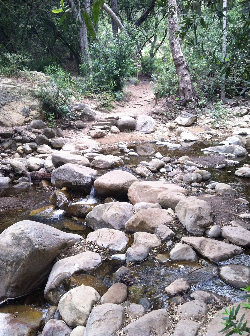 Rocks stream
