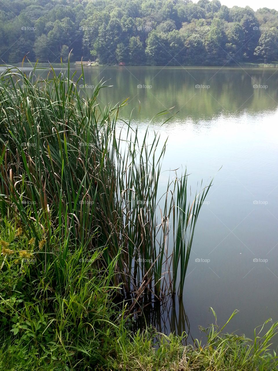 Hiking in southwestern Virginia