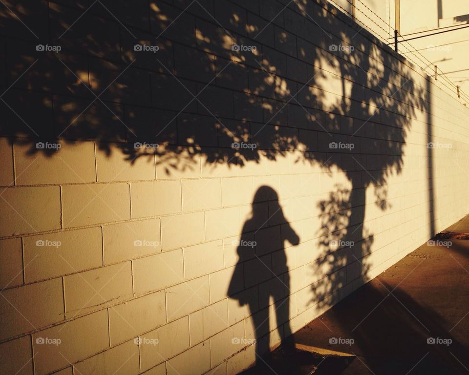 Shadow of tree and person