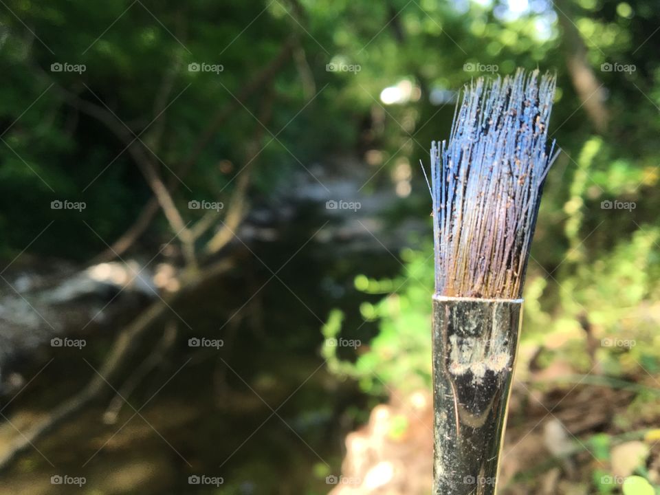 Paint brush in nature 6 by stream