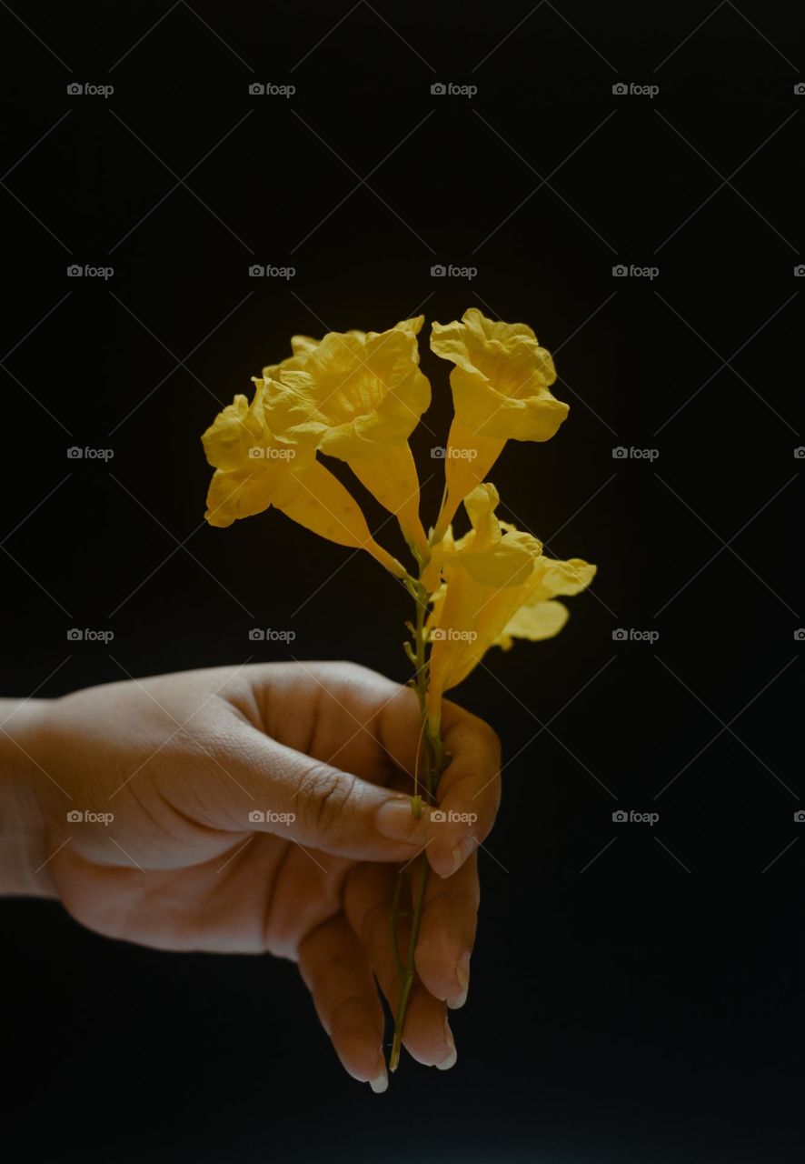 Holding yellow bell flowers