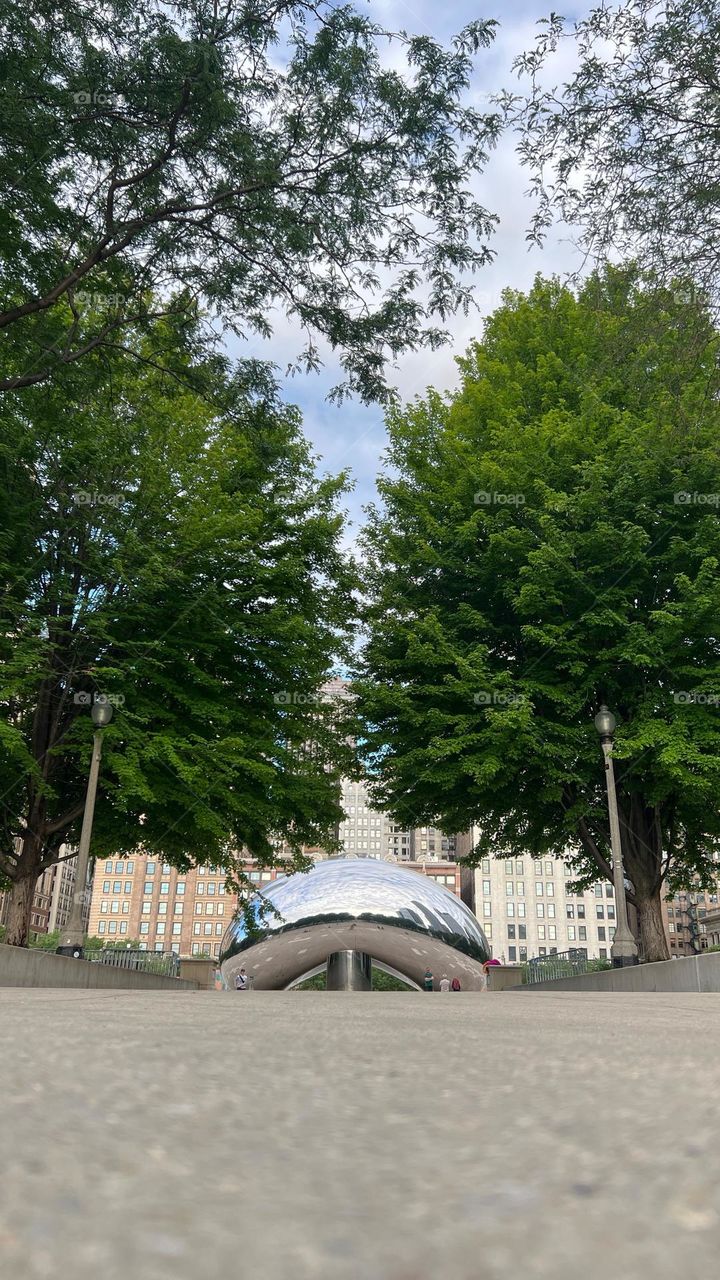 View of Cloud Gate Between the trees