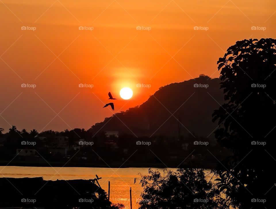 Sunset and birds