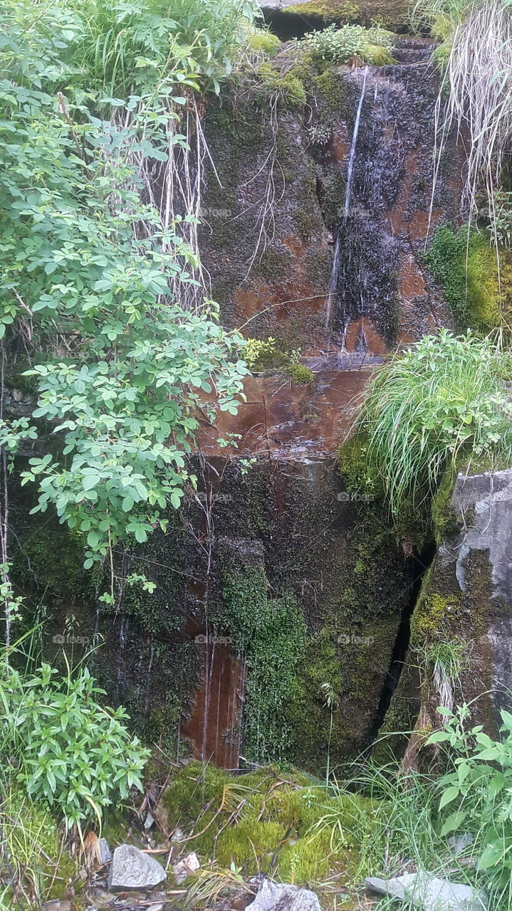 See how naturally Water is  seeping out from Rock near a Canal located close to "Aharbhal" Waterfall(Shopian kashmir).
Can Say "Nature at its best".