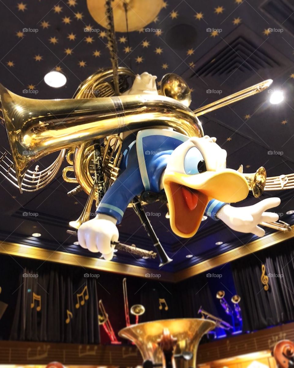 Donald ducks symphony 😁