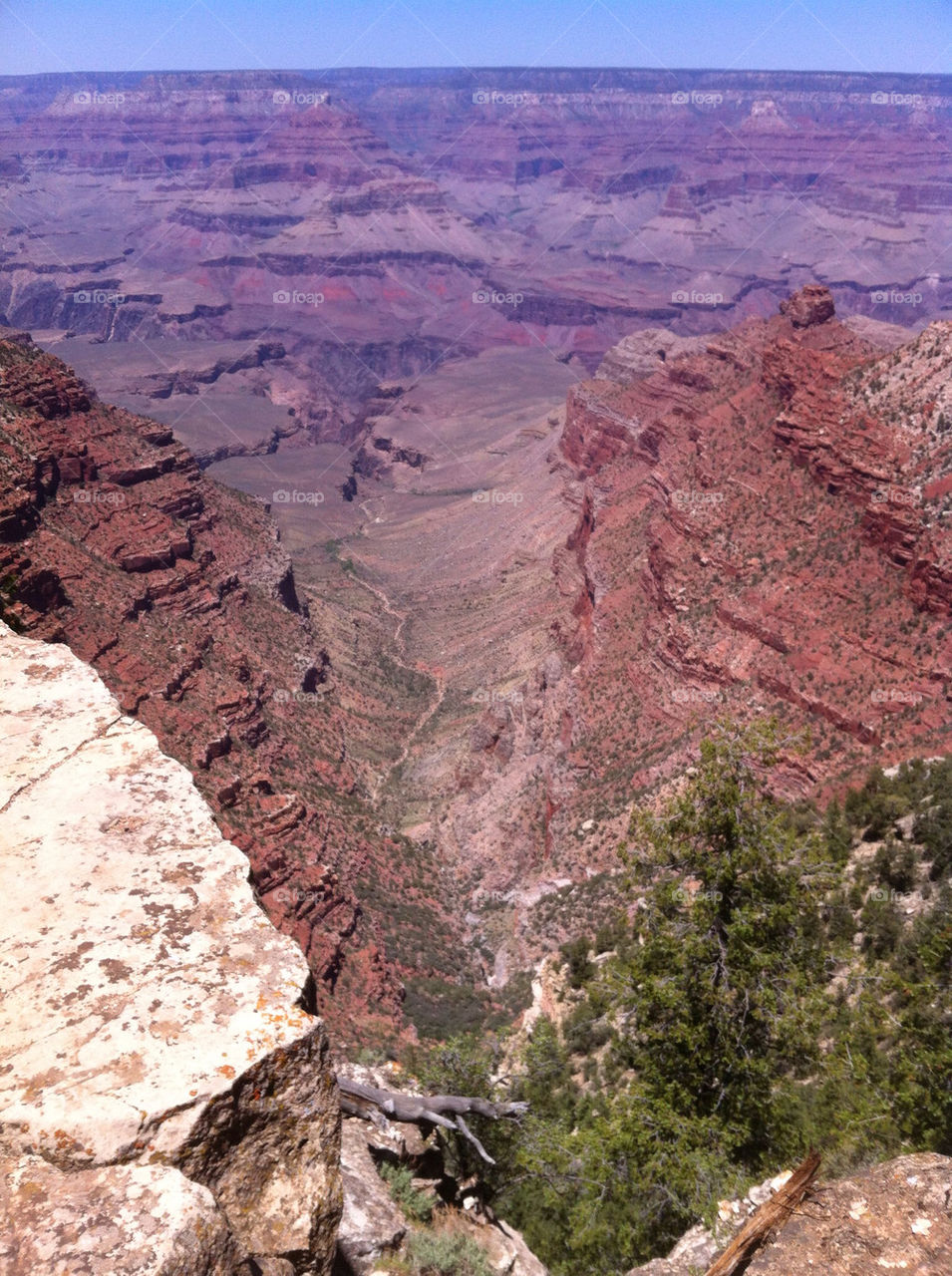 china park view grand by renemo