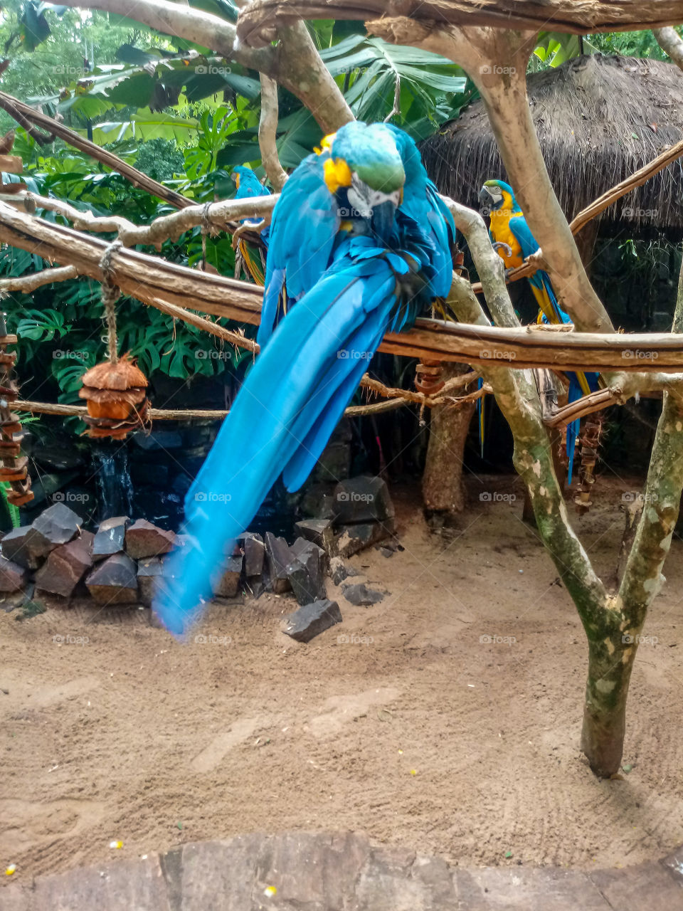 Foz do Iguaçu Falls Park.