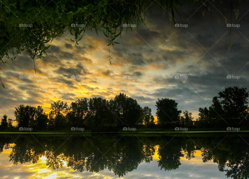 Upside down sunset reflection of a pond