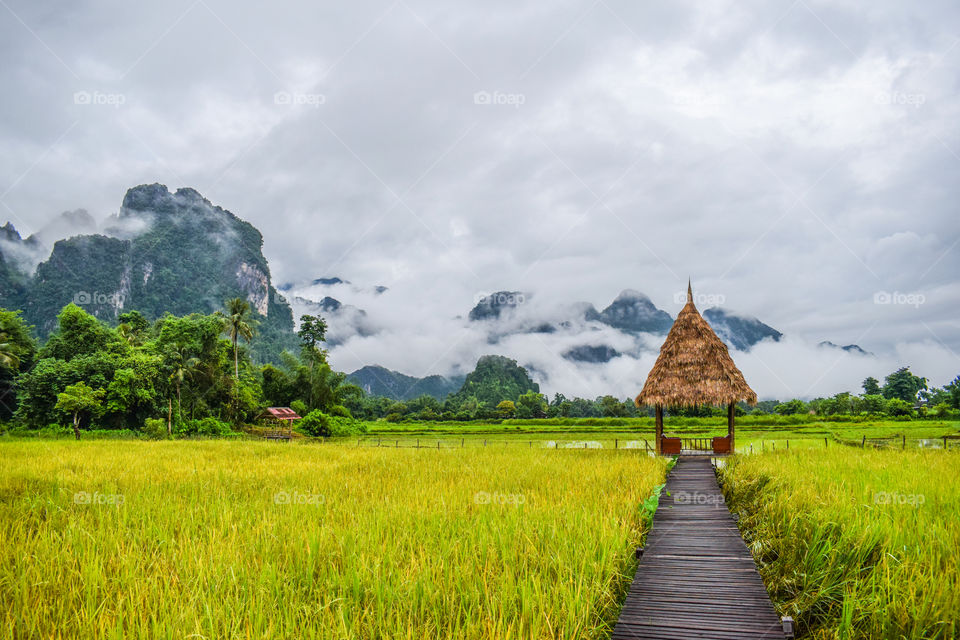 Landmark of Laos -  Field in the Morning at Vieng Tara Villa, Vang Vieng, Laos : July 8, 2018