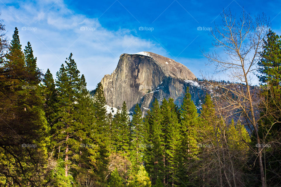 Half dome in Yosemite national park