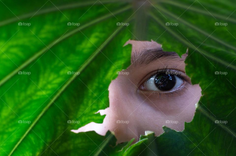 A sneak peek through the nature👀