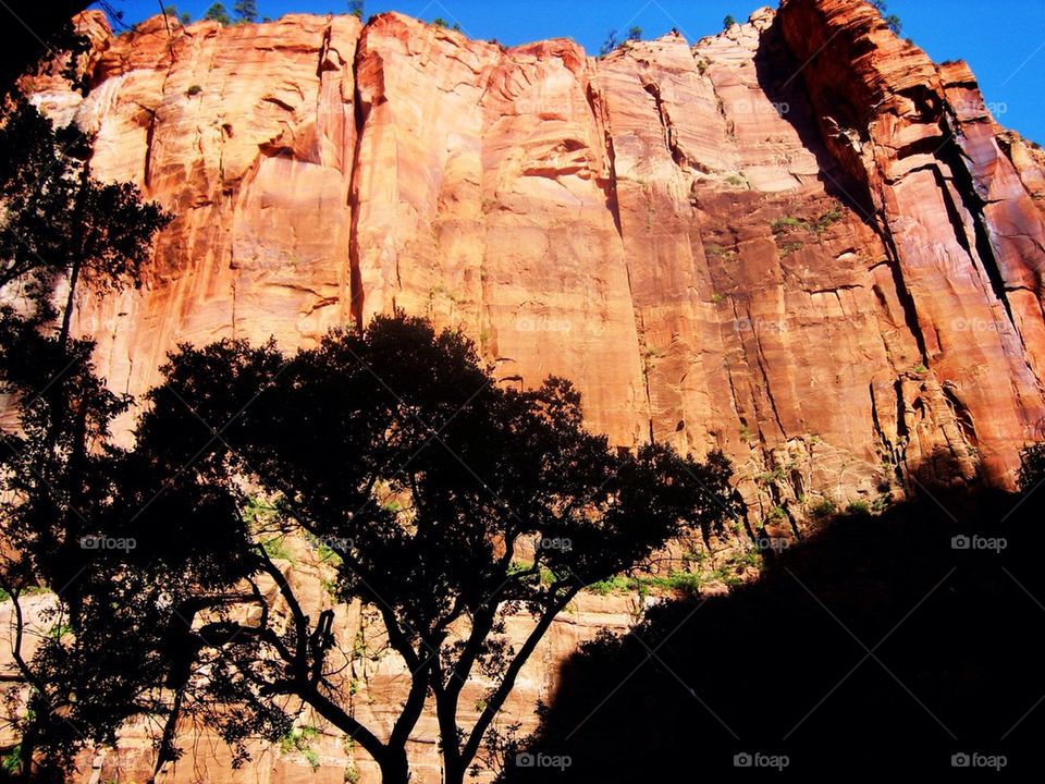 Low angle view of bryce canyon