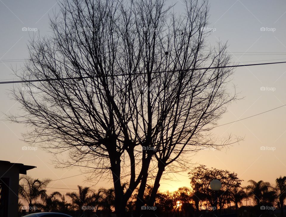 Watching the day end