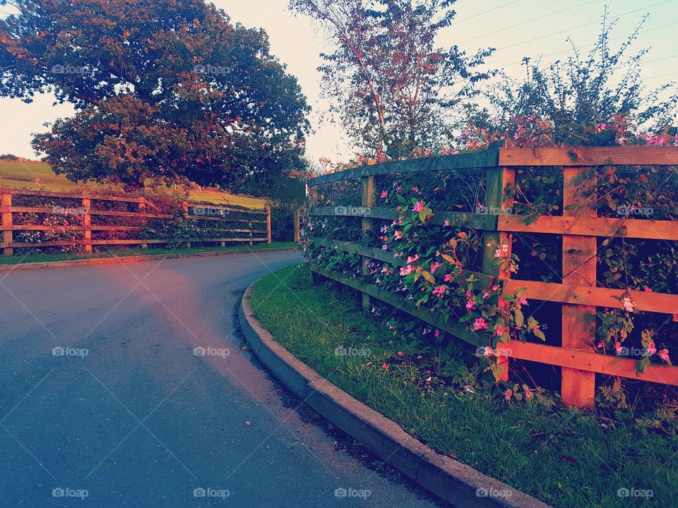 different point of view .