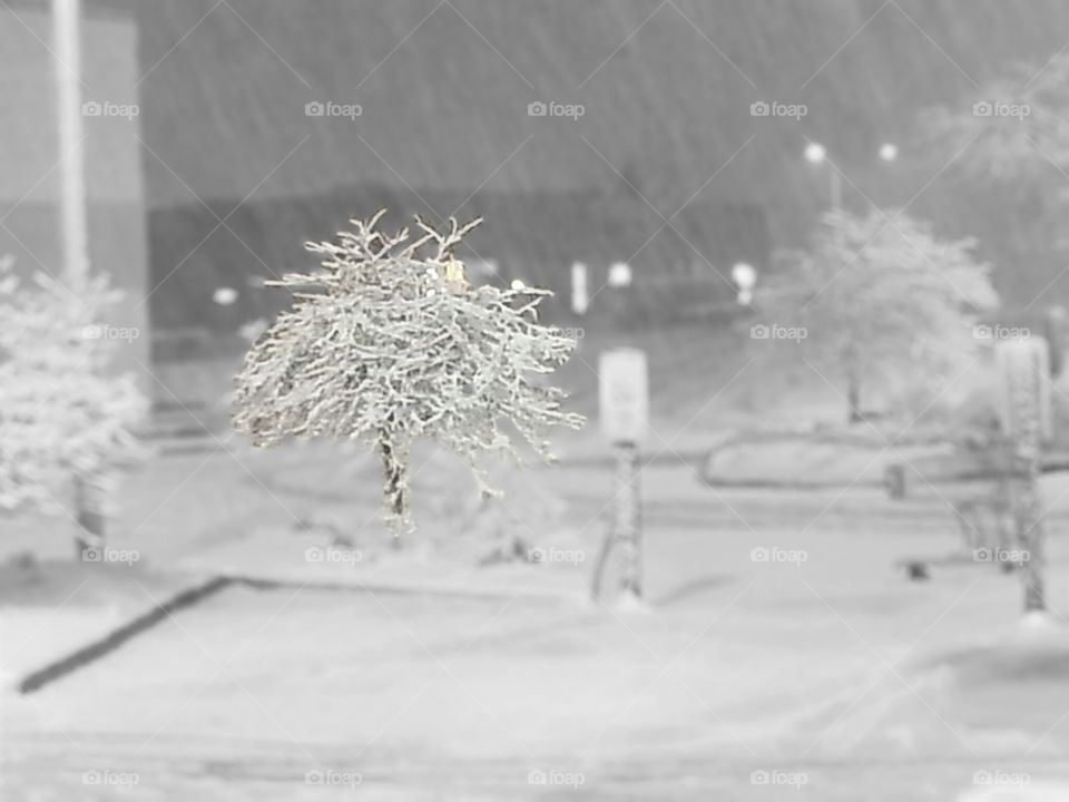 Snowstorm gx u 7dx un