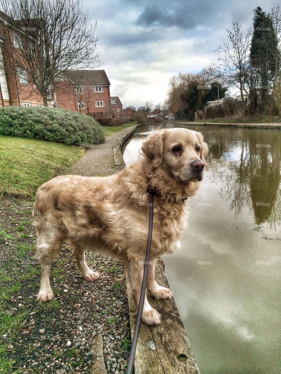 Nocas posing at the canal 