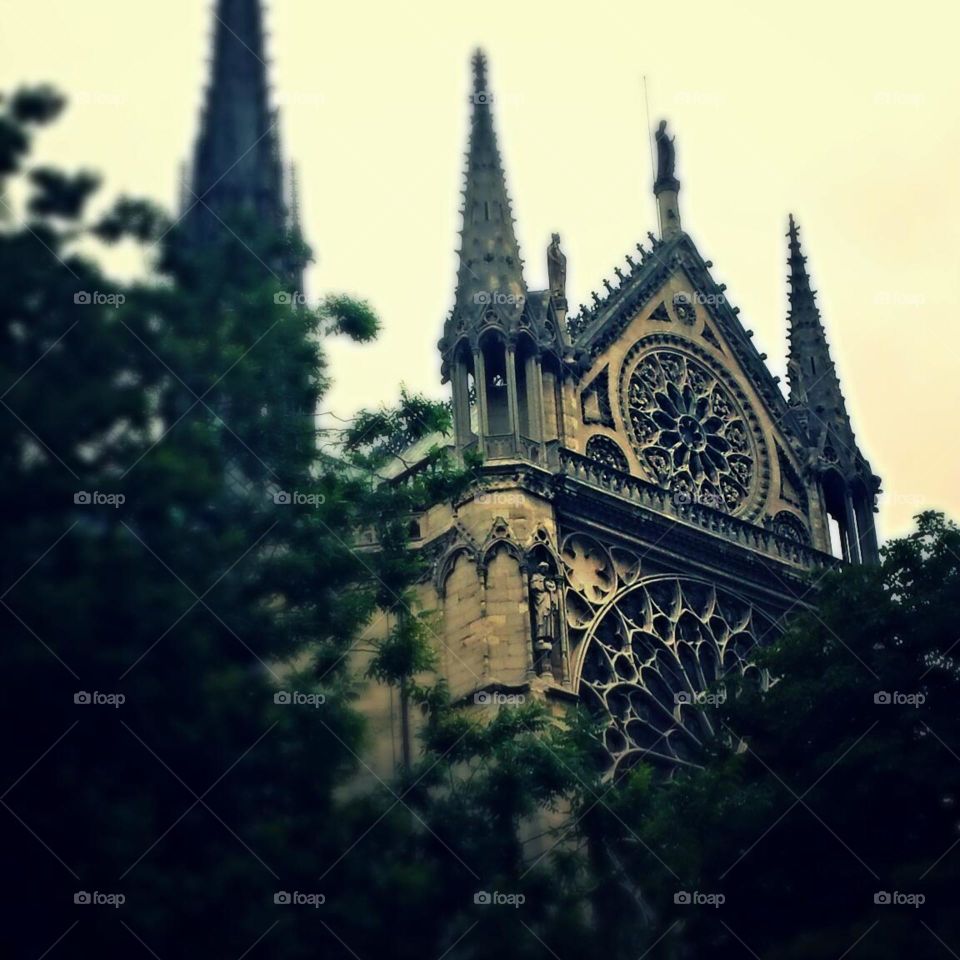 cathedral. Notre Dame