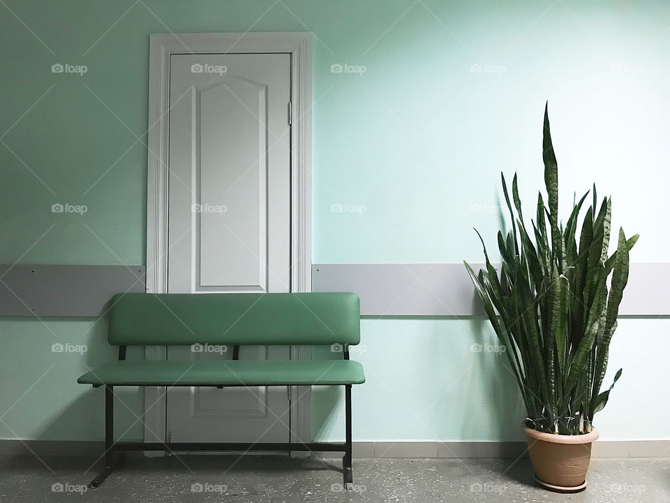 Interior in green pastel colors 