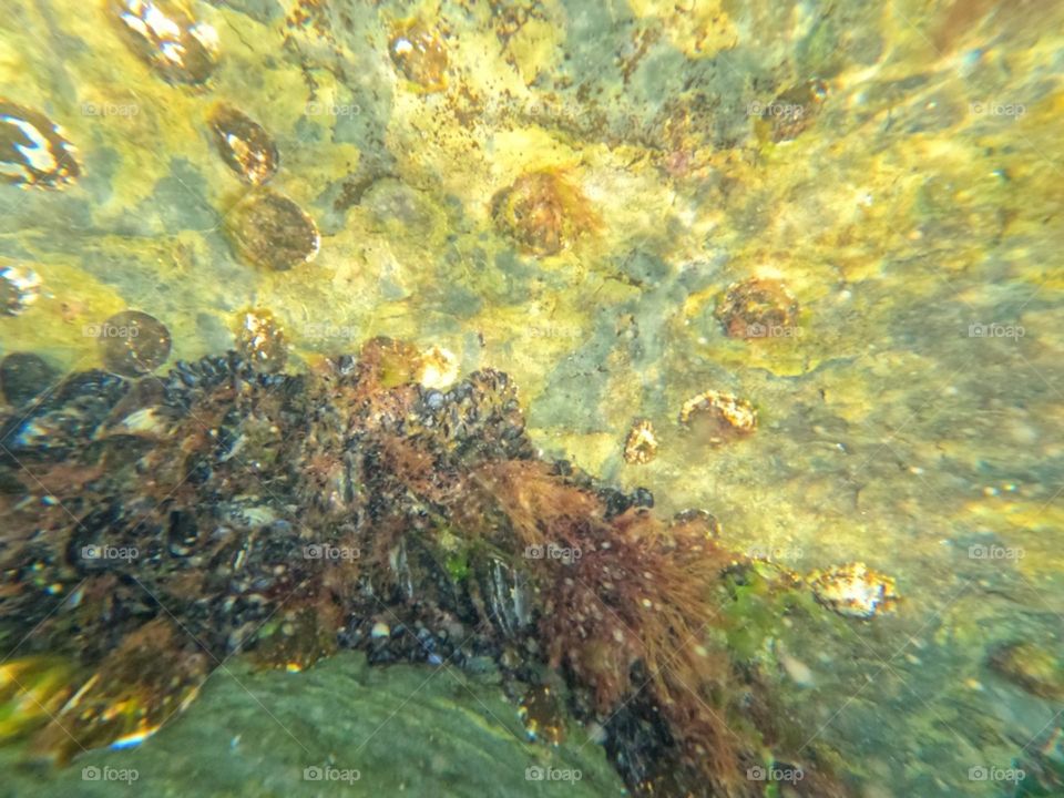 beautiful water view